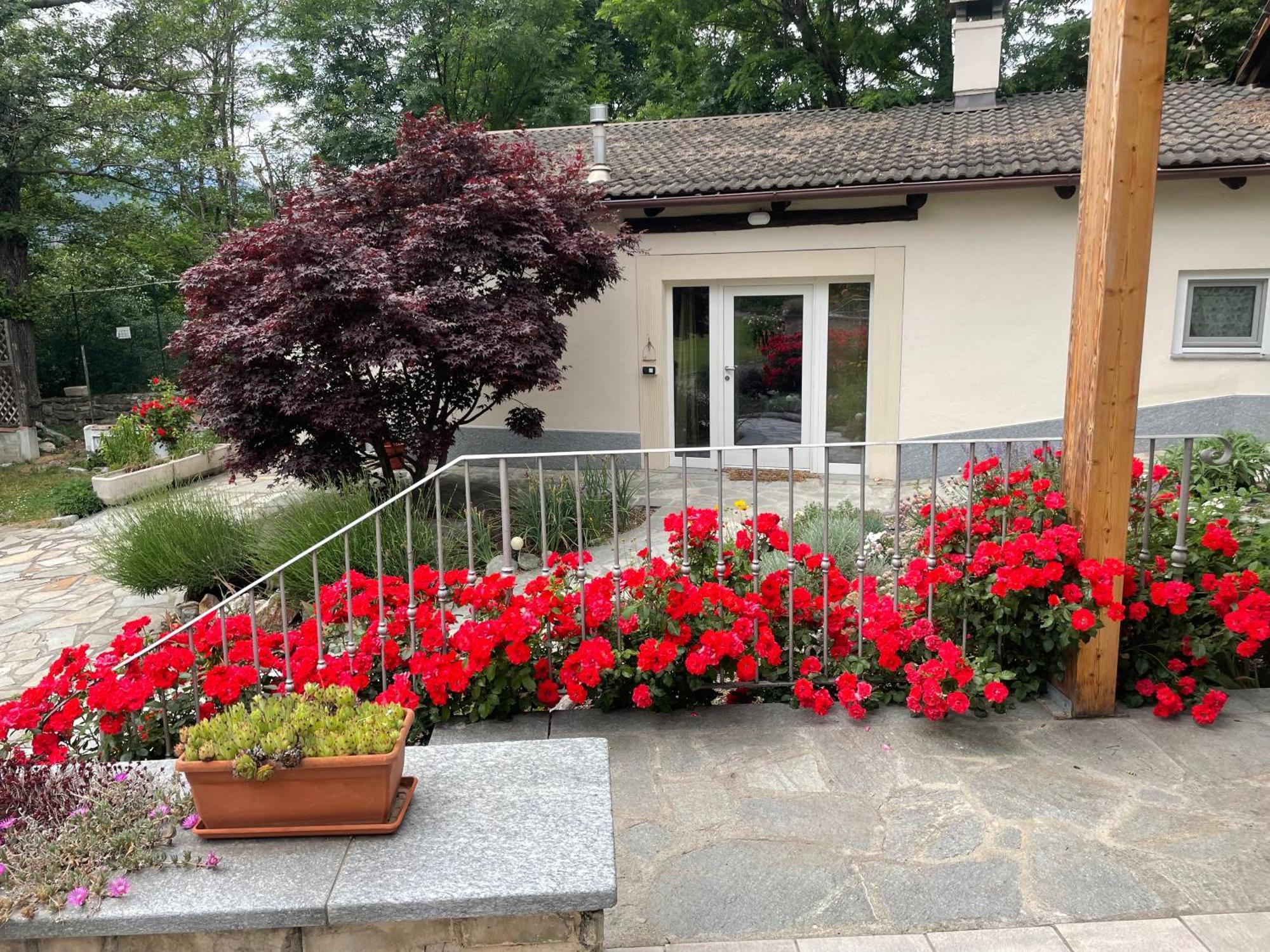 La Casina Di Oscar Ad Ao V Combe Vda Quart 0014 E 00I6アパートメント エクステリア 写真
